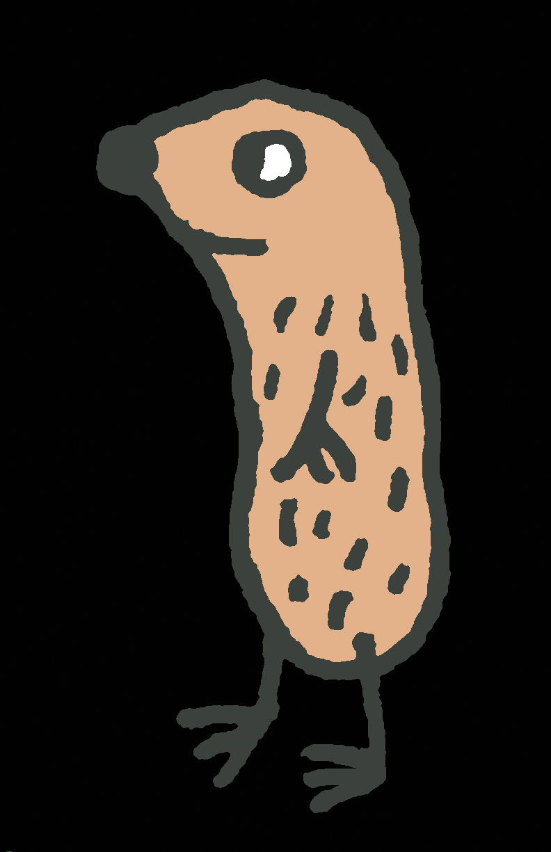 Nöpö
